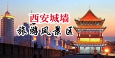 美女下面被硬棒插的视频免费中国陕西-西安城墙旅游风景区