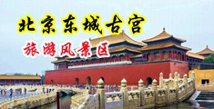 久久久久∥黑人鸡吧又粗又硬视频中国北京-东城古宫旅游风景区